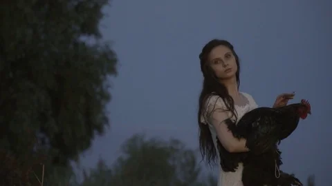 The Girl In The White Dress Smooths the Rooster Stock Footage