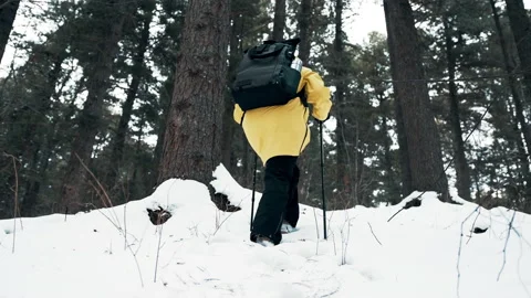 Girl with a white hat in the forest with a backpack and hiking sticks climbing a Stock Footage 144692335