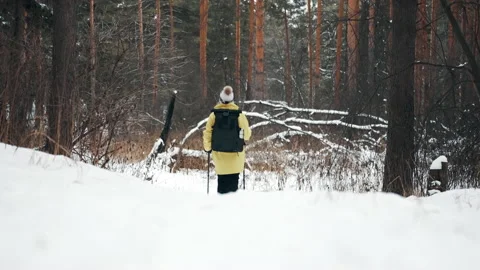 Girl with a white hat in the forest with a backpack and hiking sticks in winter Video stock 144693412