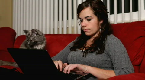 Girl working at computer with gray cat Stock Footage 872393