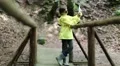 Girl in yellow jacket stands on the wooden bridge and uses tablet computer HD Footage
