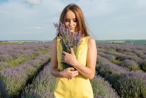 Girl in yellow on the Lavender Field on Sunset Stock Photos