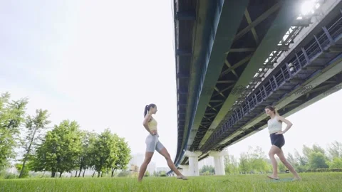 Girlfriends doing yoga exercise on fresh green grass Stock Footage 148737239