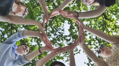 The girlfriends join their palms in a circle against the background of tree Stock Footage 166395598