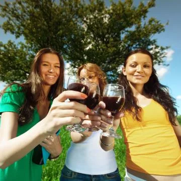 Girlfriends on picnic Stock Photos