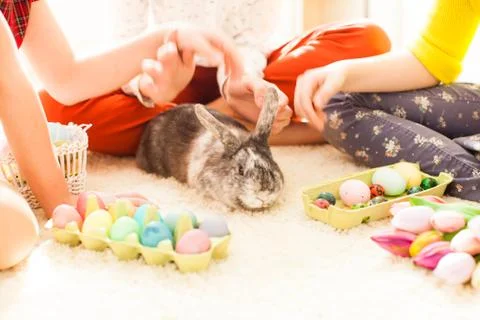 Girlfriends playing with  rabbit Stock Photos