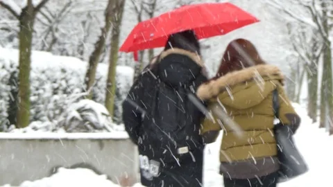 Girlfriends walking winter alleay red umbrella Stock Footage 72381925
