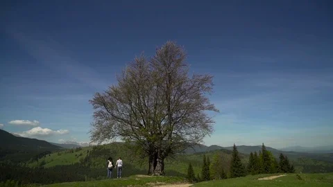 Girls on the background of valley Stock Footage 76249886
