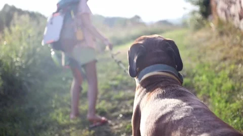 Girls with backpack walking on the rural path with her dog friend. Video stock 157910628