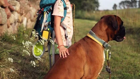 Girls with backpack walking on the rural path with her dog friend. Stock Footage 157910707