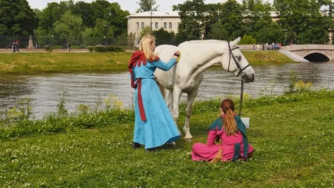 Girls brushing a horse Stock Footage