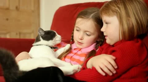 Girls with cat Stock Footage 22664879