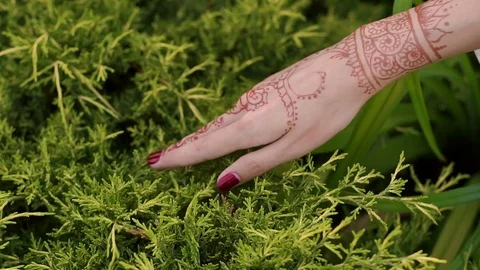 Girl's hand with Indian mehendi drawings,close-up Stock Footage