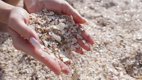 Girl's hands full of tiny white seashells on the beach Stock Footage 218168367
