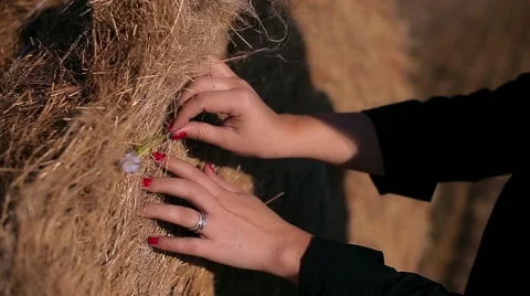 Girl's hands touched the haystack, red nails Stock Footage 68115193
