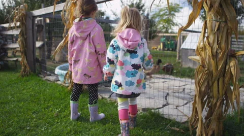 Girls looking at ducks Stockbeeldmateriaal 58820563