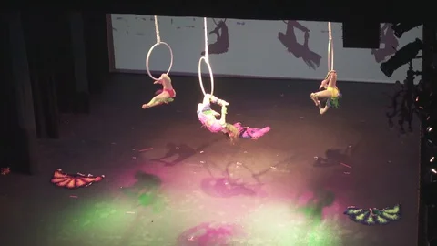 Girls performing aerial acrobatic elements Stock Footage 127490366