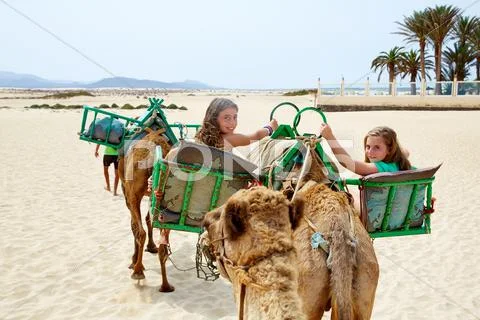 Girls Riding Camel In Canary Islands