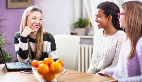 Girls studding together, on a computer Stock Photos