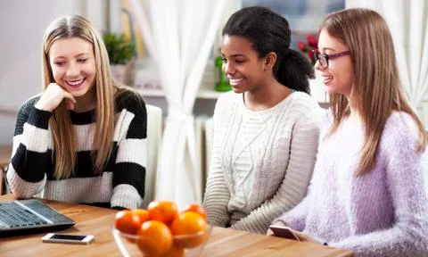 Girls studding together, on a computer Foto stock