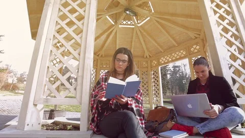 Girls study in park Stock Footage 72714471