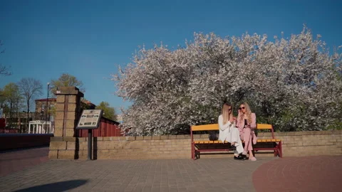 Girls using cellphone for having fun outdoors Stock Footage 194154066