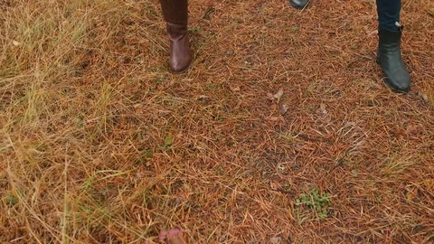 Girls walk on the fall leaf. Close boots Stock Footage 69745486