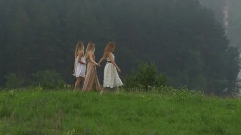 Girls walk in nature Stock Footage