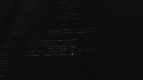 Git Checkout Command Switching to Development Branch Stock Footage 301025647