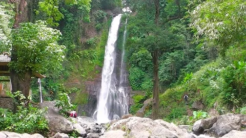 Git Git waterfall. Bali island. Indonesia. 스톡 동영상 81606763