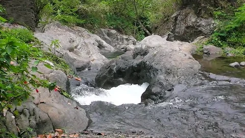 Git Git waterfall. Bali island. Indonesia. Video stock 81606770