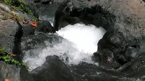 Git Git waterfall. Bali island. Indonesia. Video stock 81606775