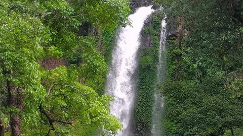 Git Git waterfall. Bali island. Indonesia. Video stock 81606776