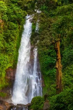 Gitgit Waterfall - Bali island Indonesia Foto stock