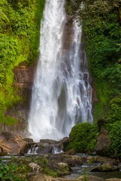 Gitgit Waterfall - Bali island Indonesia Stock-Fotos