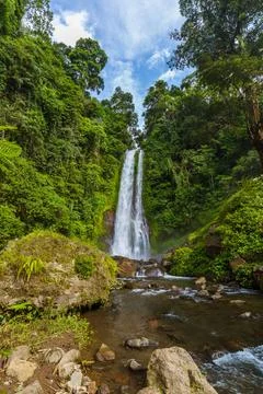 Gitgit Waterfall - Bali island Indonesia Gitgit Waterfall on Bali island I... Foto stock