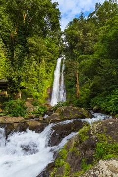 Gitgit Waterfall - Bali island Indonesia Gitgit Waterfall on Bali island I... Stock-Fotos