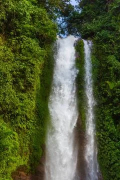 Gitgit Waterfall - Bali island Indonesia Gitgit Waterfall on Bali island I... Stock-Fotos