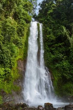Gitgit Waterfall - Bali island Indonesia Gitgit Waterfall on Bali island I... Foto stock