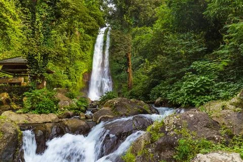 Gitgit Waterfall - Bali island Indonesia Gitgit Waterfall on Bali island I... Foto stock