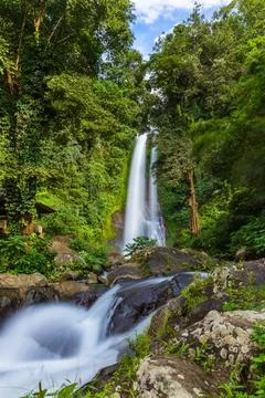 Gitgit Waterfall - Bali island Indonesia Gitgit Waterfall on Bali island I... Stock-Fotos