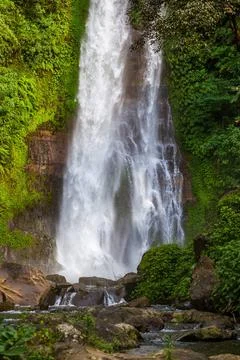 Gitgit Waterfall - Bali island Indonesia Gitgit Waterfall on Bali island I... Stock-Fotos