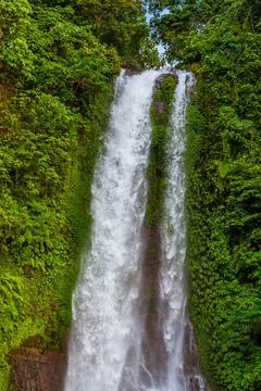 Gitgit Waterfall - Bali island Indonesia Gitgit Waterfall on Bali island I... Stock-Fotos
