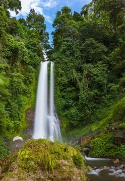 Gitgit Waterfall - Bali island Indonesia Gitgit Waterfall on Bali island I... Stock-Fotos