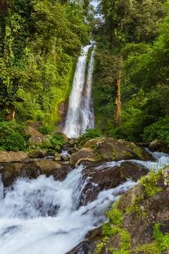 Gitgit Waterfall - Bali island Indonesia Gitgit Waterfall on Bali island I... Фото