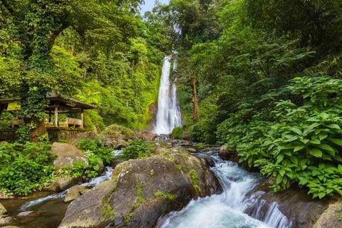 Gitgit Waterfall - Bali island Indonesia Gitgit Waterfall on Bali island I... Stock-Fotos