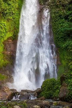 Gitgit Waterfall - Bali island Indonesia Gitgit Waterfall on Bali island I... Stock-Fotos