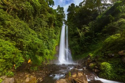 Gitgit Waterfall - Bali island Indonesia Gitgit Waterfall on Bali island I... Stock-Fotos