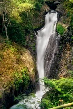 GitGit Waterfall in Bali Fotos Stock