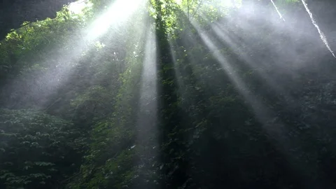 The Gitgit waterfall on the island of Bali. Stock Footage 126032658